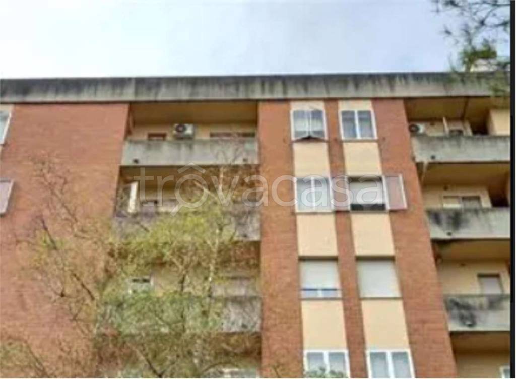 immagine annuncio 12 di 14