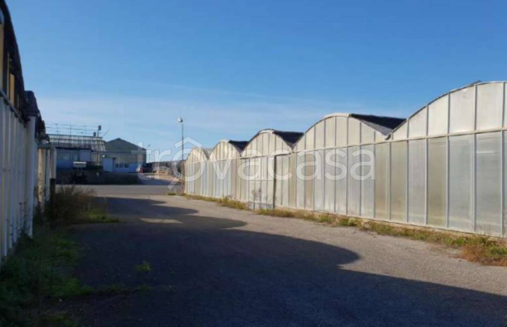 immagine annuncio 7 di 12