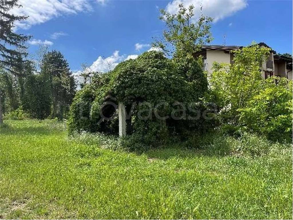 immagine annuncio 13 di 15