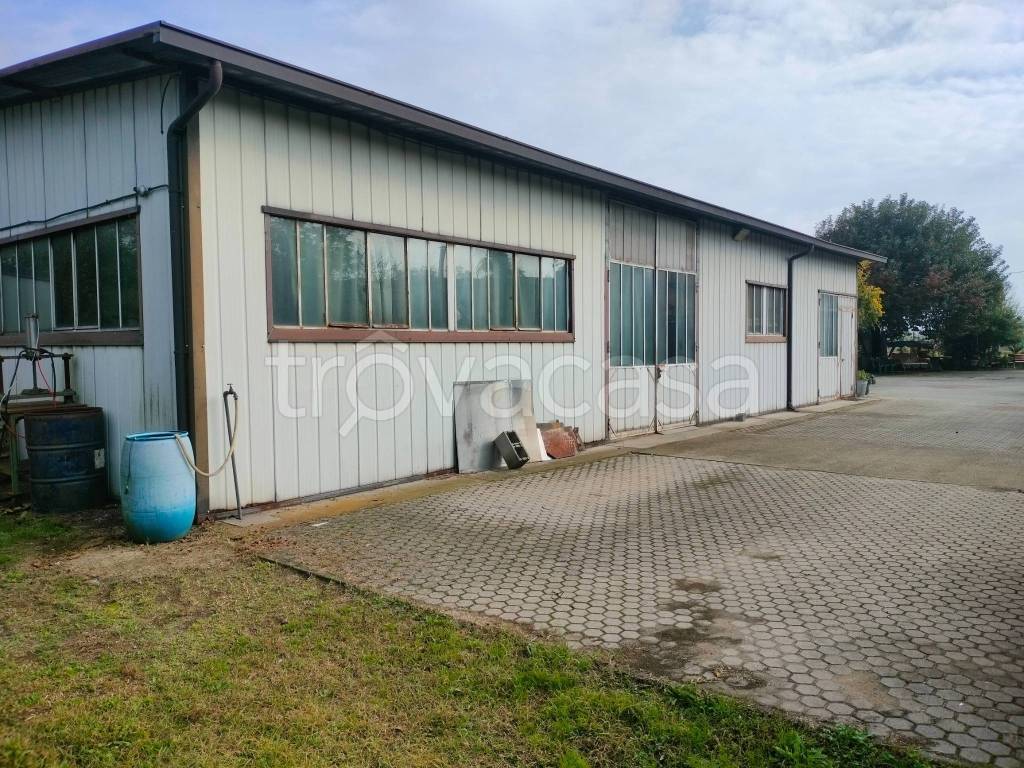 immagine annuncio 1 di 7