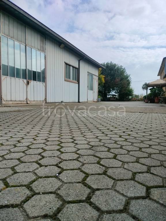 immagine annuncio 2 di 7