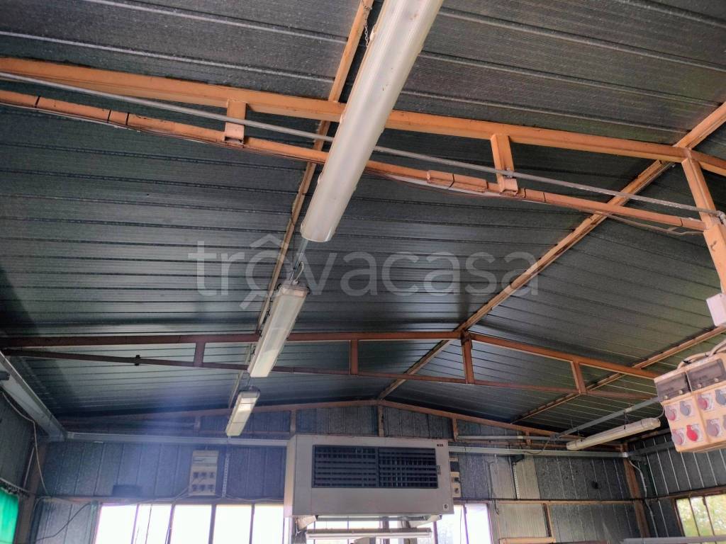 immagine annuncio 3 di 7