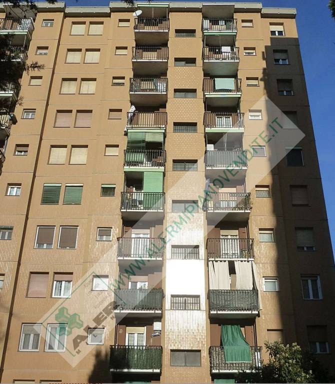 immagine annuncio 1 di 12