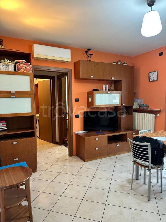 immagine annuncio 1 di 11