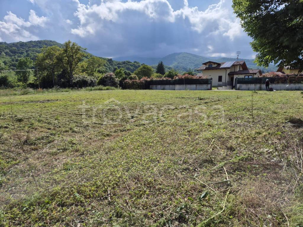 immagine annuncio 1 di 9