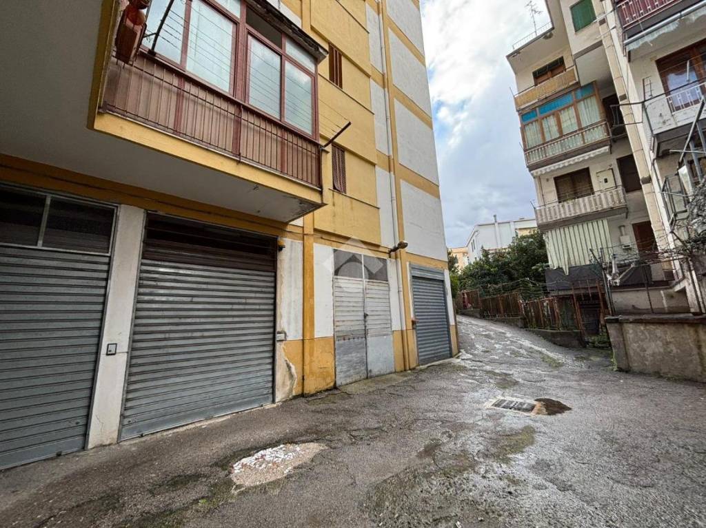 immagine annuncio 4 di 13