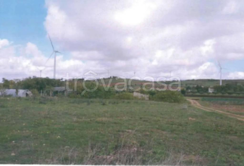 immagine annuncio 10 di 13