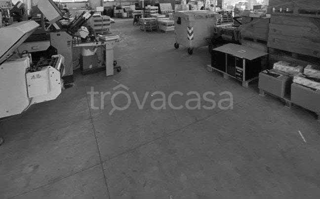 immagine annuncio 2 di 4