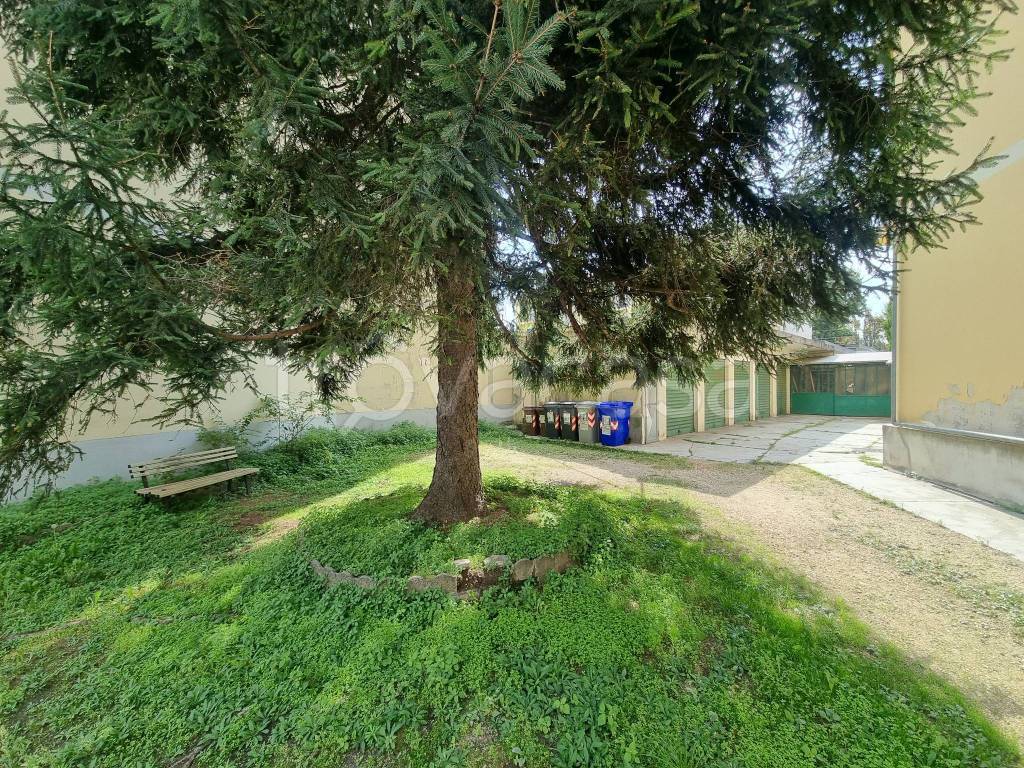 immagine annuncio 10 di 14