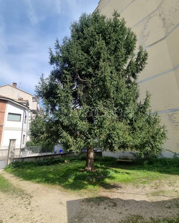 immagine annuncio 11 di 14