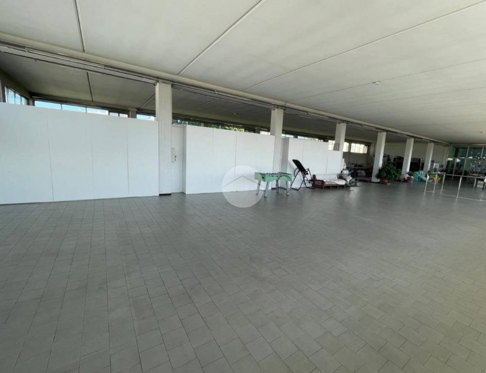 immagine annuncio 4 di 8