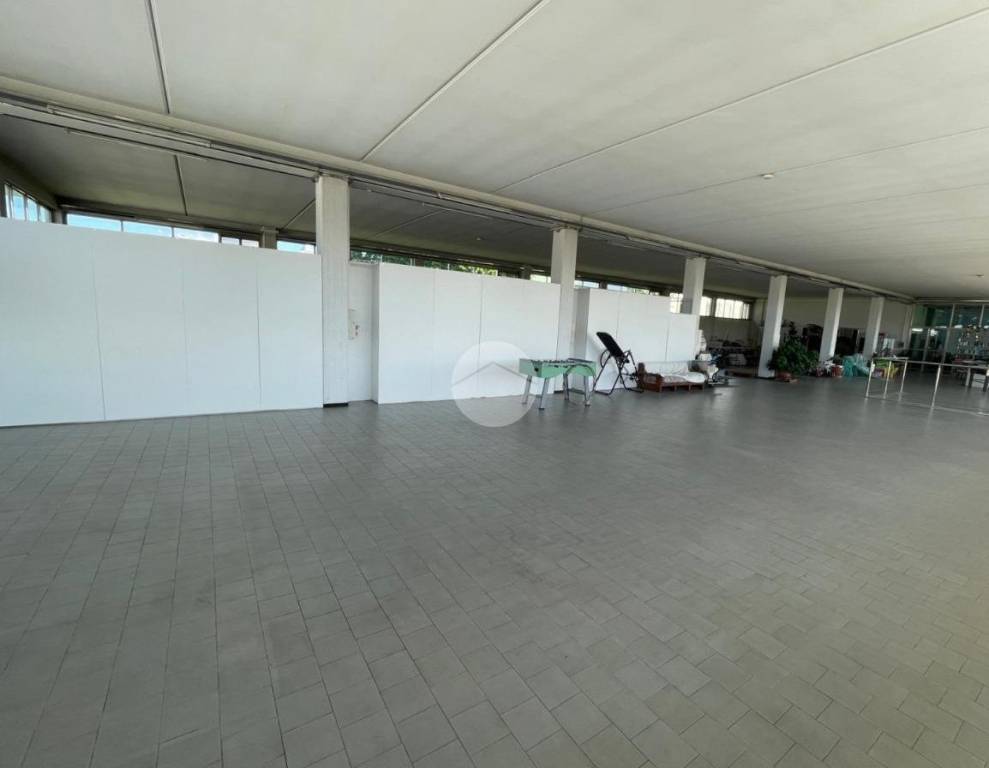 immagine annuncio 4 di 8