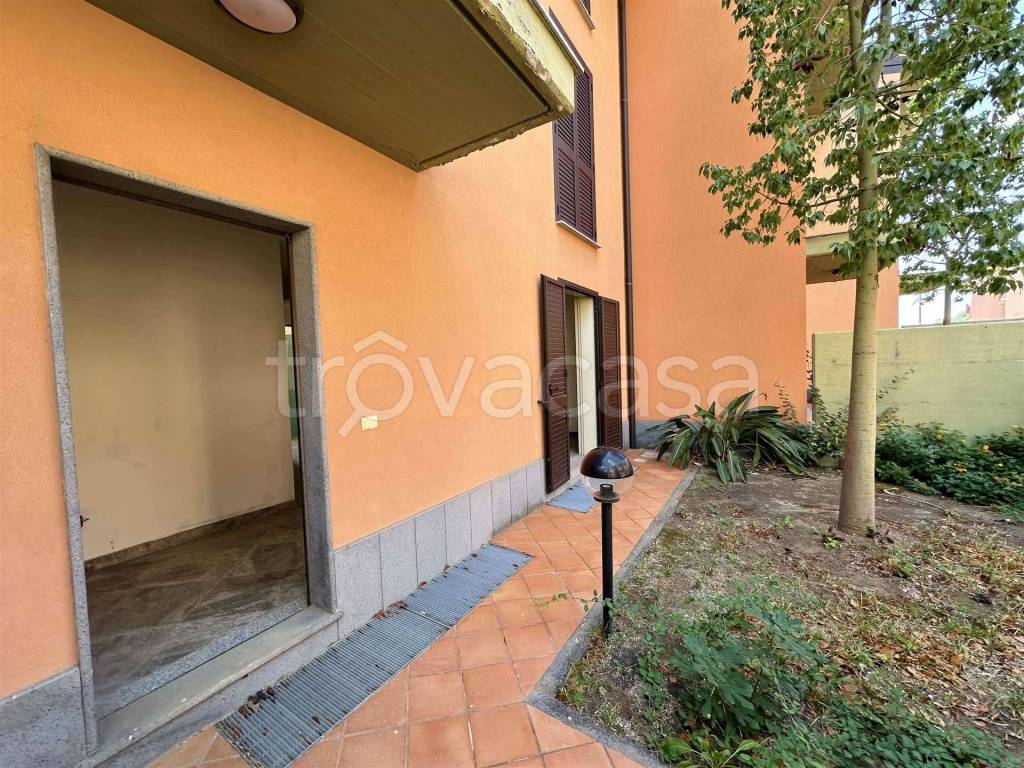 immagine annuncio 2 di 15