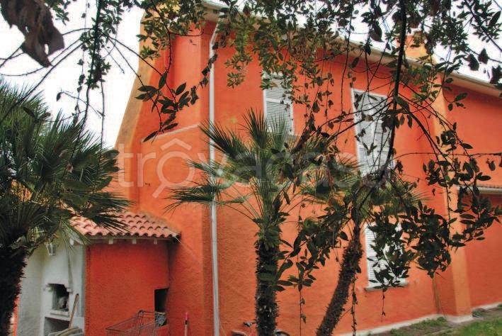 immagine annuncio 2 di 6