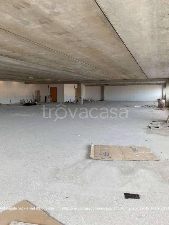 immagine annuncio 3 di 6