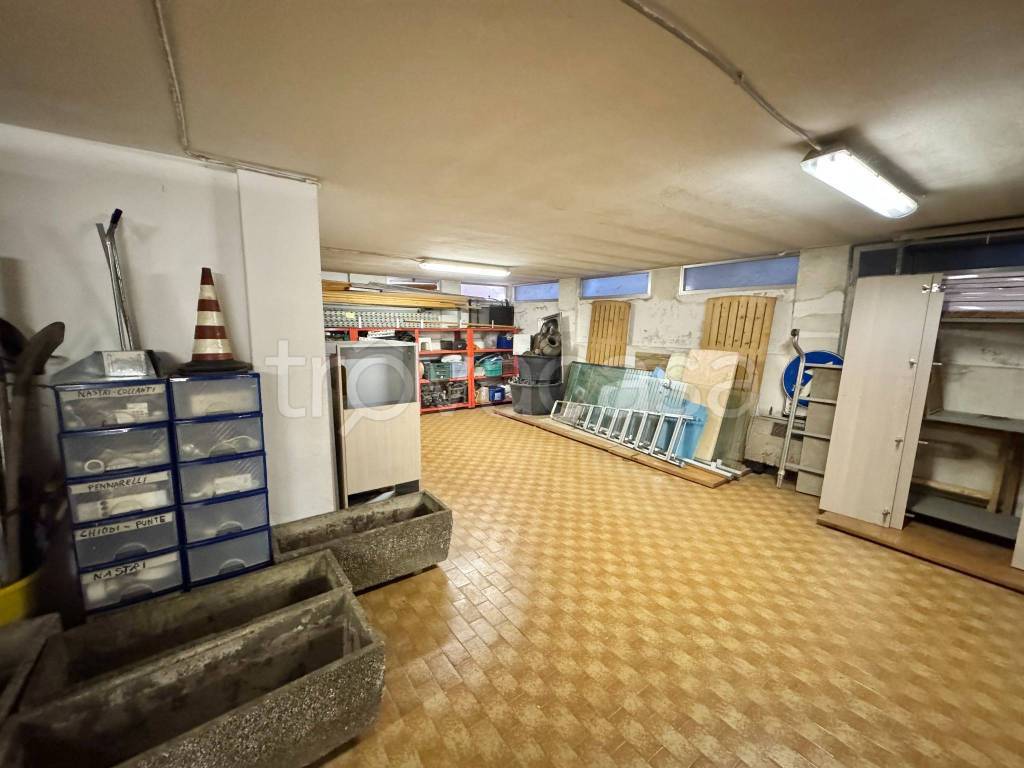 immagine annuncio 5 di 11