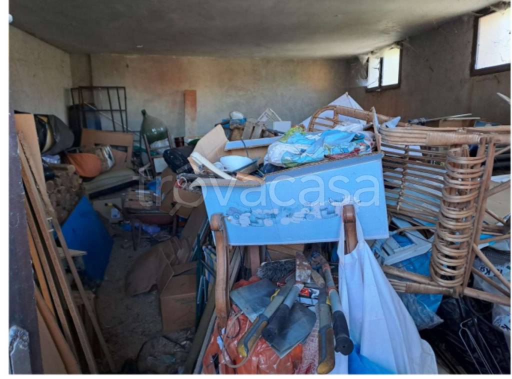 immagine annuncio 7 di 14