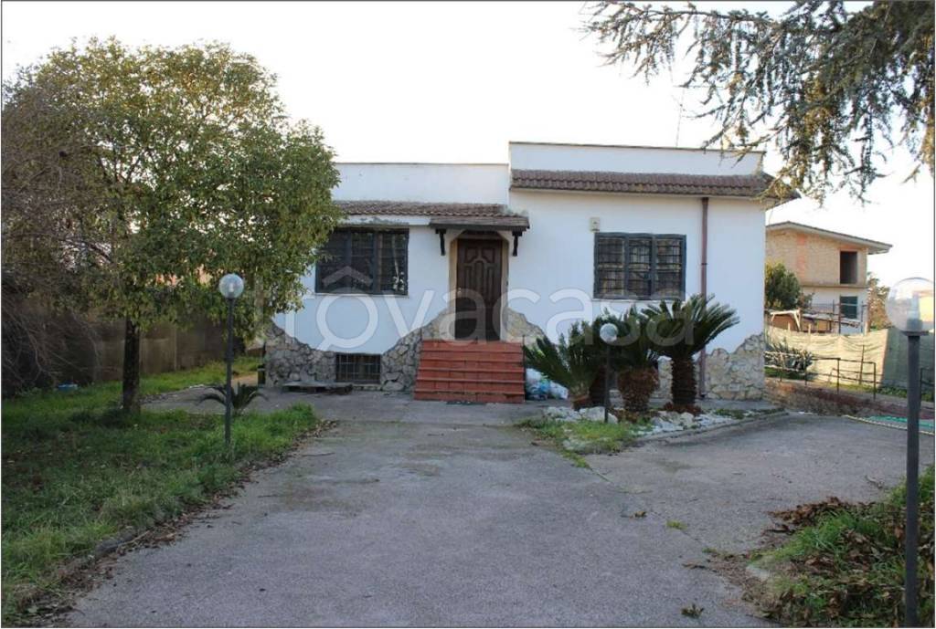 immagine annuncio 1 di 9