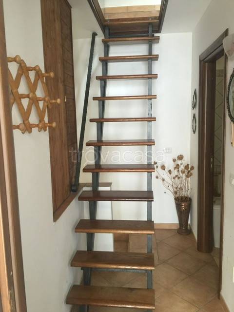 immagine annuncio 10 di 12