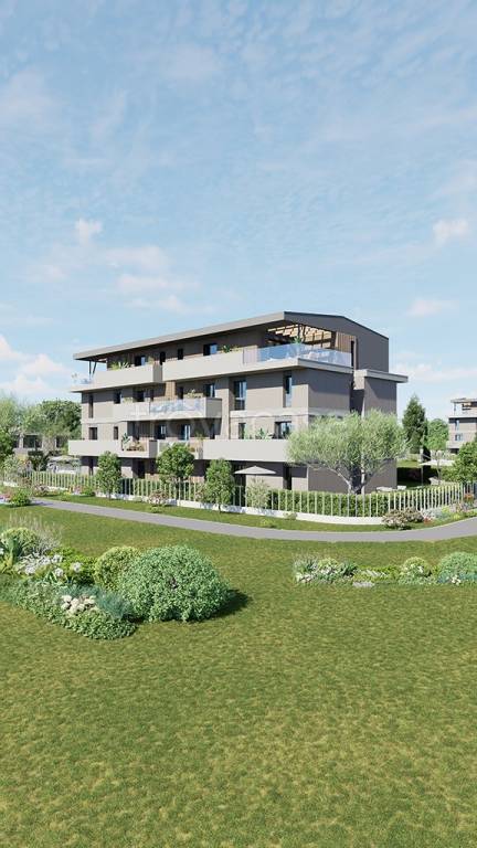 immagine annuncio 5 di 11