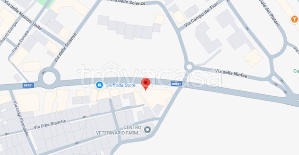 immagine annuncio 11 di 12