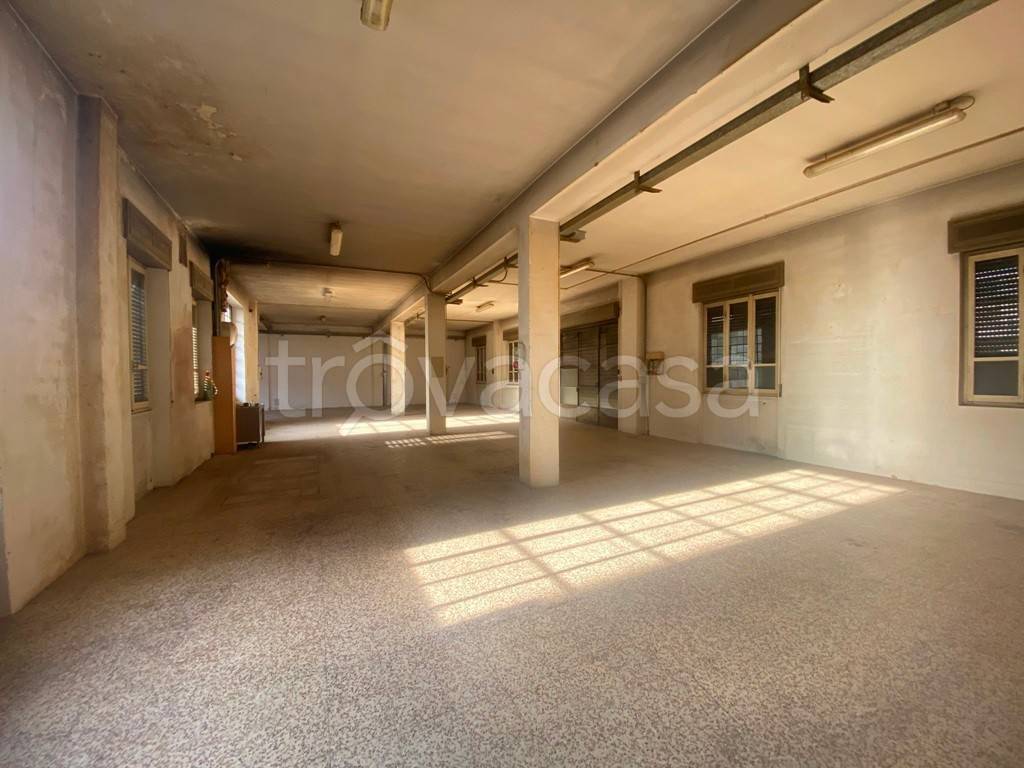 immagine annuncio 4 di 14