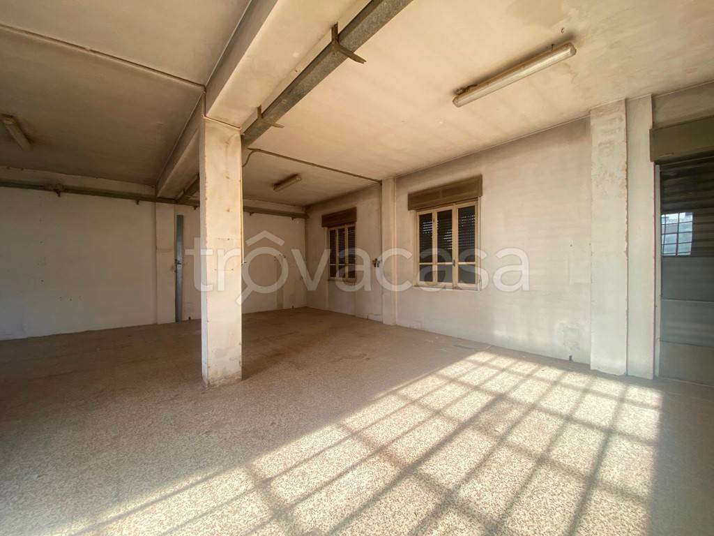 immagine annuncio 8 di 14