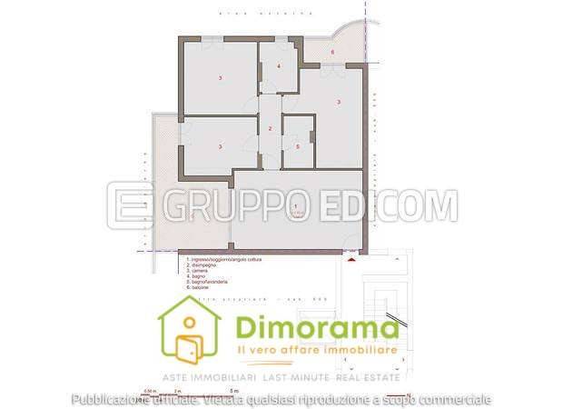 immagine annuncio 11 di 15