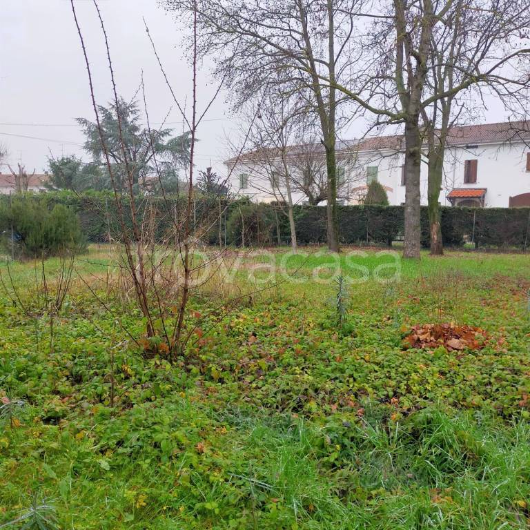 immagine annuncio 4 di 13