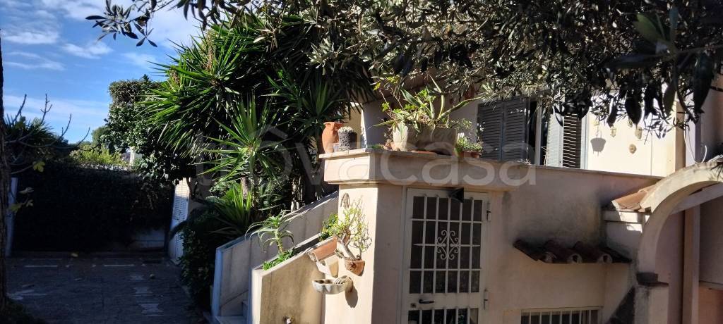 immagine annuncio 3 di 8