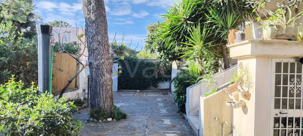 immagine annuncio 4 di 8