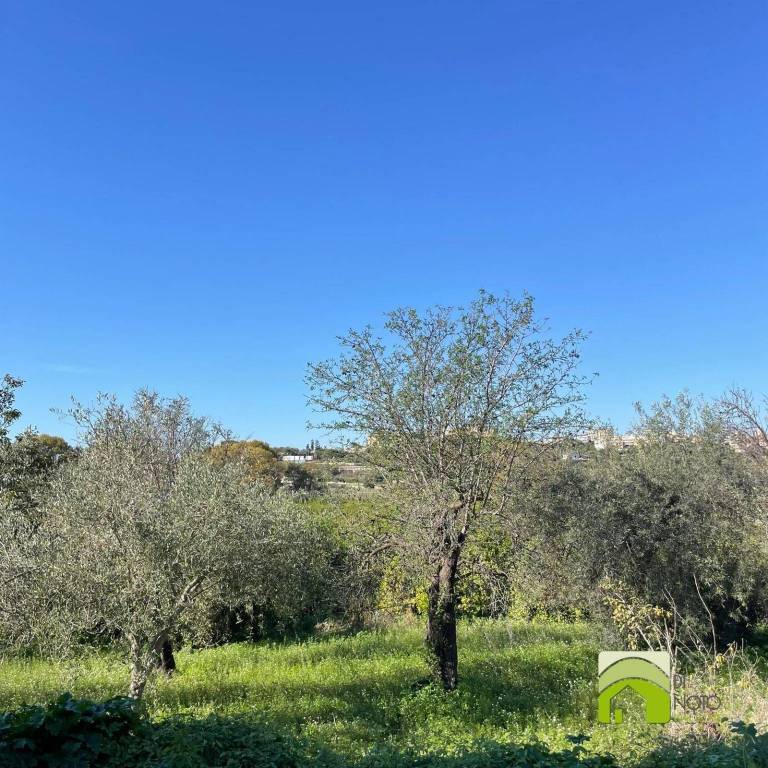 immagine annuncio 4 di 9