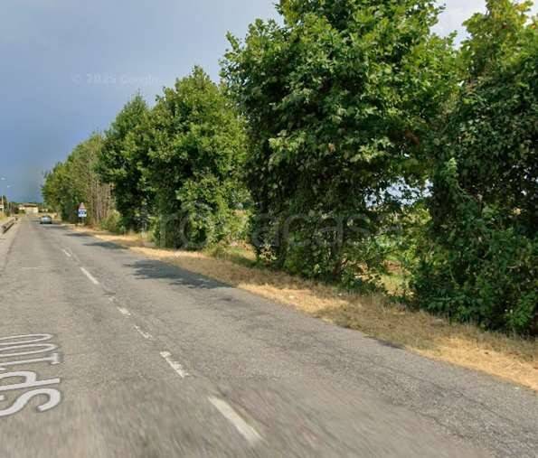 immagine annuncio 10 di 14