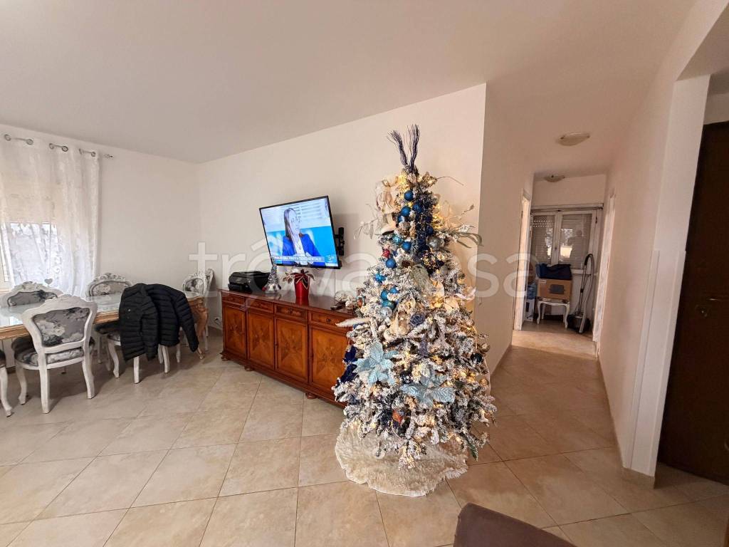 immagine annuncio 2 di 12