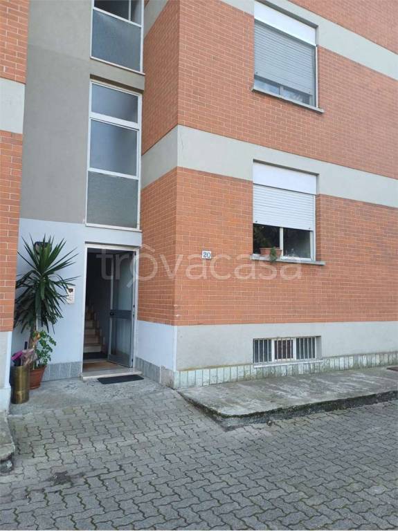 immagine annuncio 13 di 15