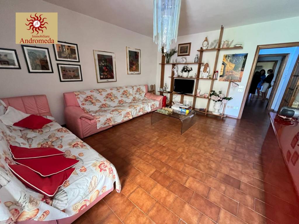 immagine annuncio 3 di 14