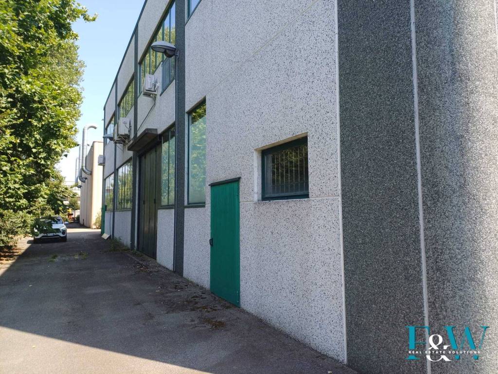 immagine annuncio 9 di 15