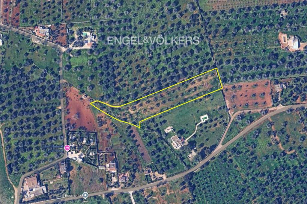 immagine annuncio 5 di 6