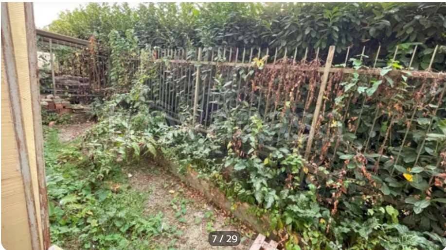 immagine annuncio 5 di 13