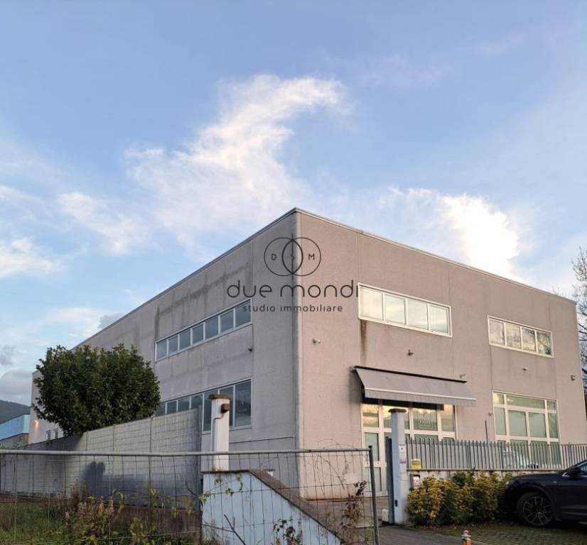 immagine annuncio 1 di 2