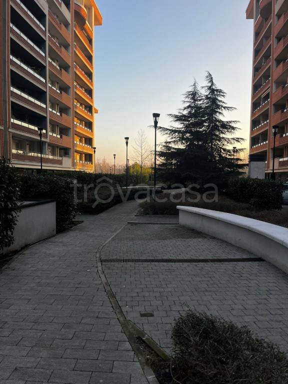 immagine annuncio 2 di 14