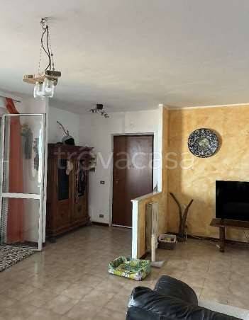 immagine annuncio 5 di 14