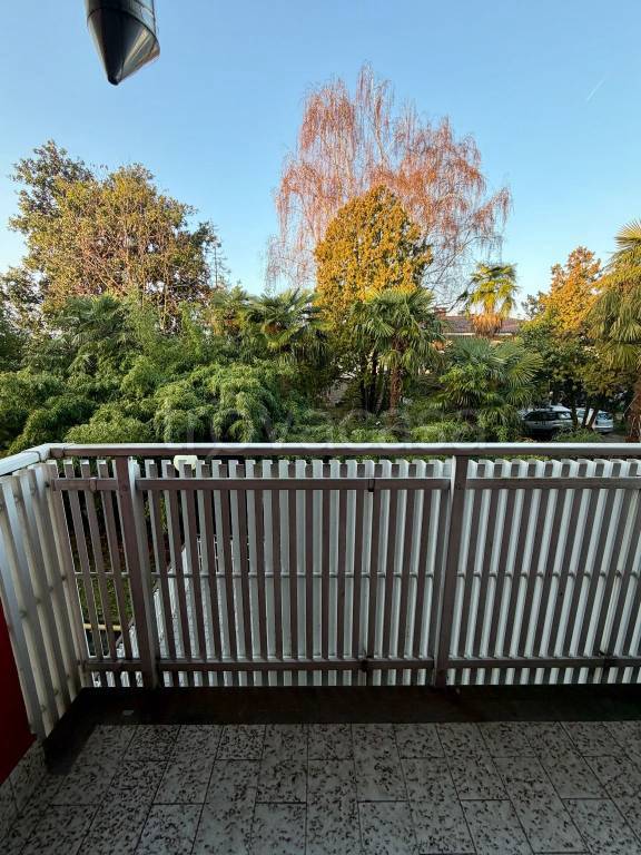 immagine annuncio 12 di 14