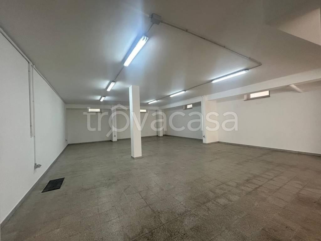 immagine annuncio 3 di 8