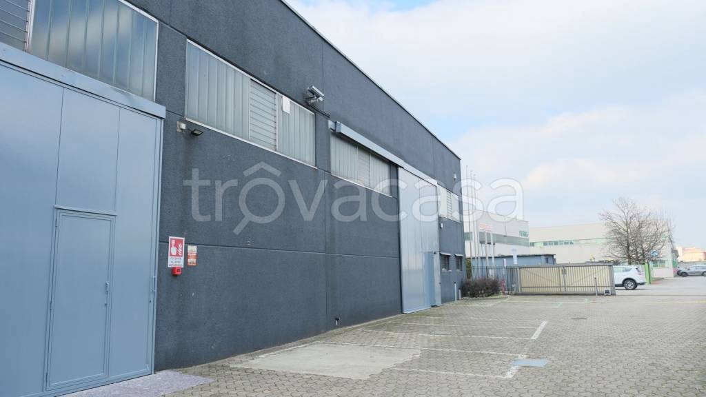 immagine annuncio 12 di 15