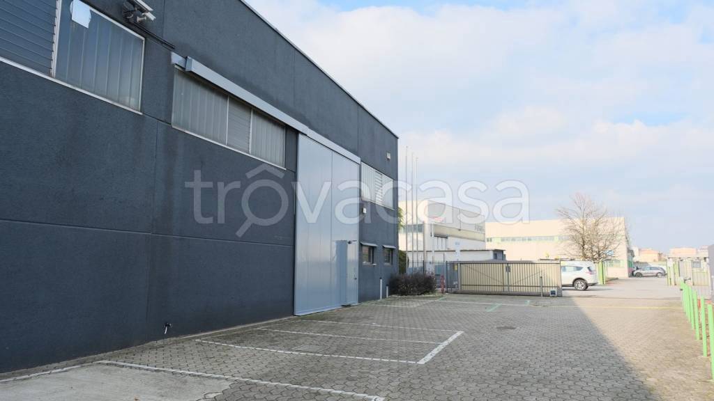 immagine annuncio 11 di 15