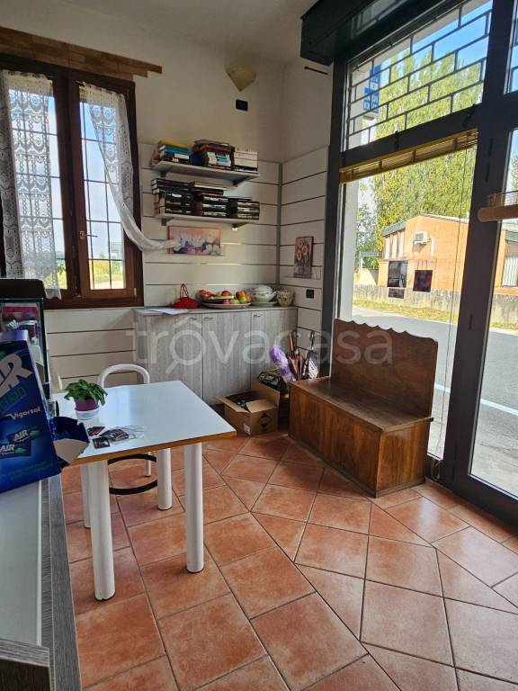 immagine annuncio 4 di 7