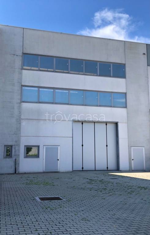 immagine annuncio 1 di 11