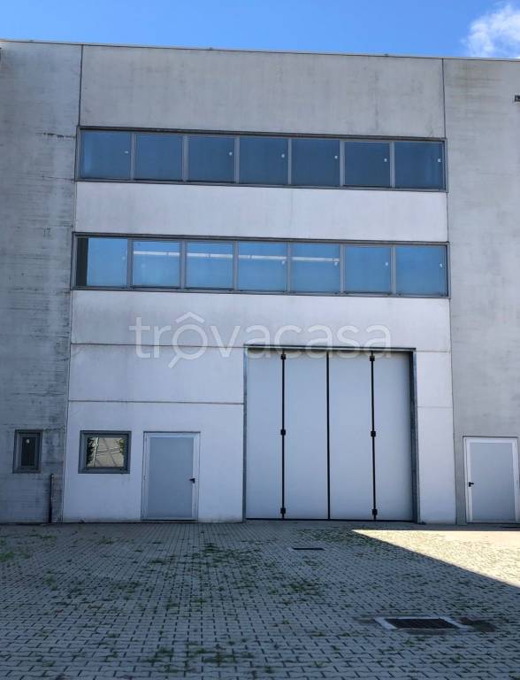 immagine annuncio 5 di 11