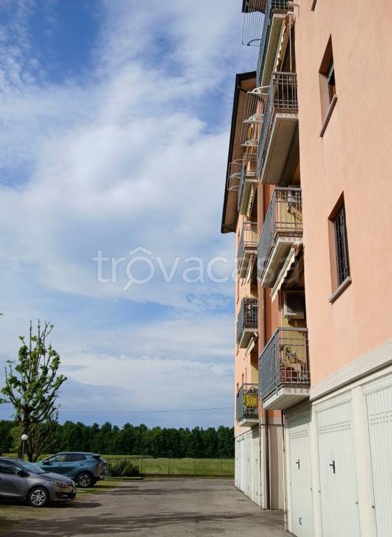 immagine annuncio 9 di 11